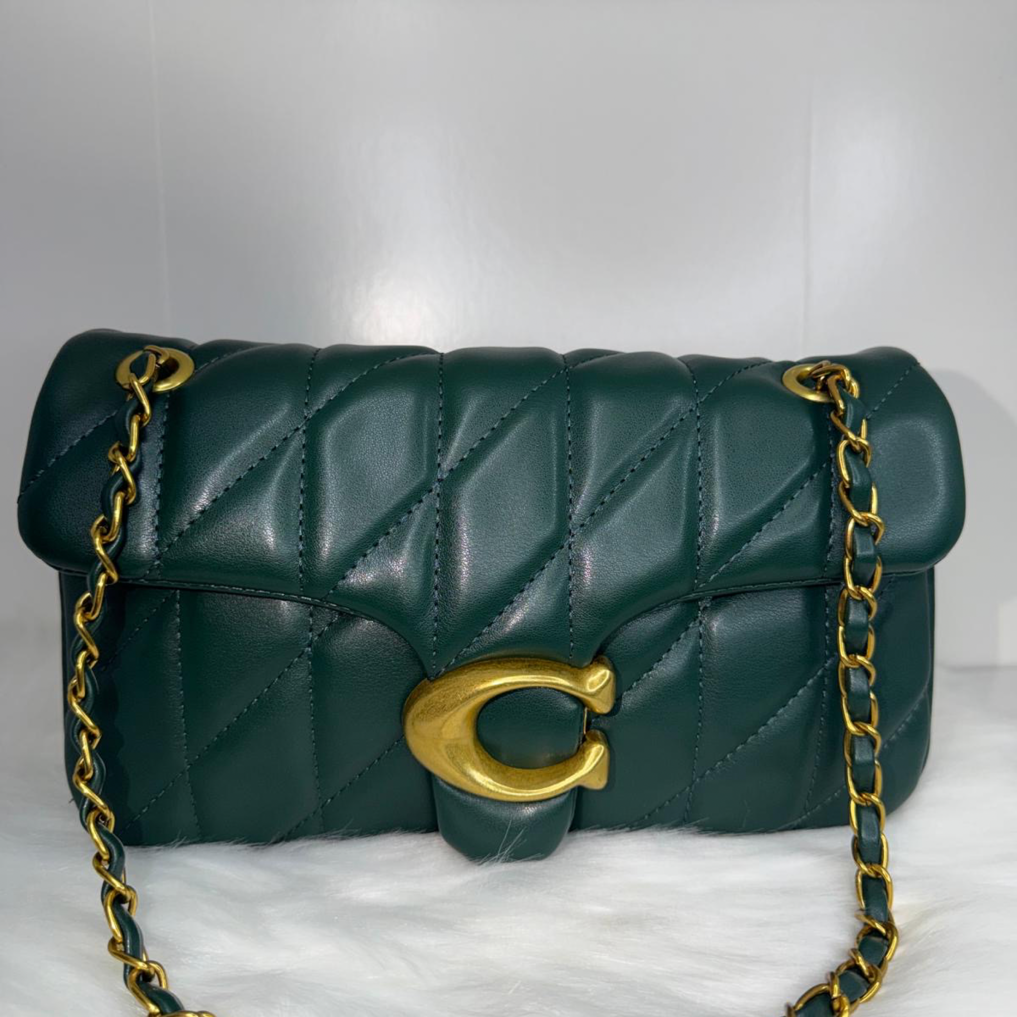 Cartera Verde